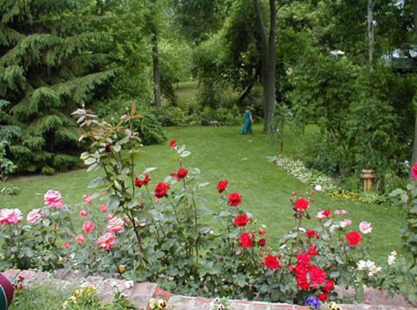 Dorchester House Bed & Breakfast Niagara Falls Exterior photo
